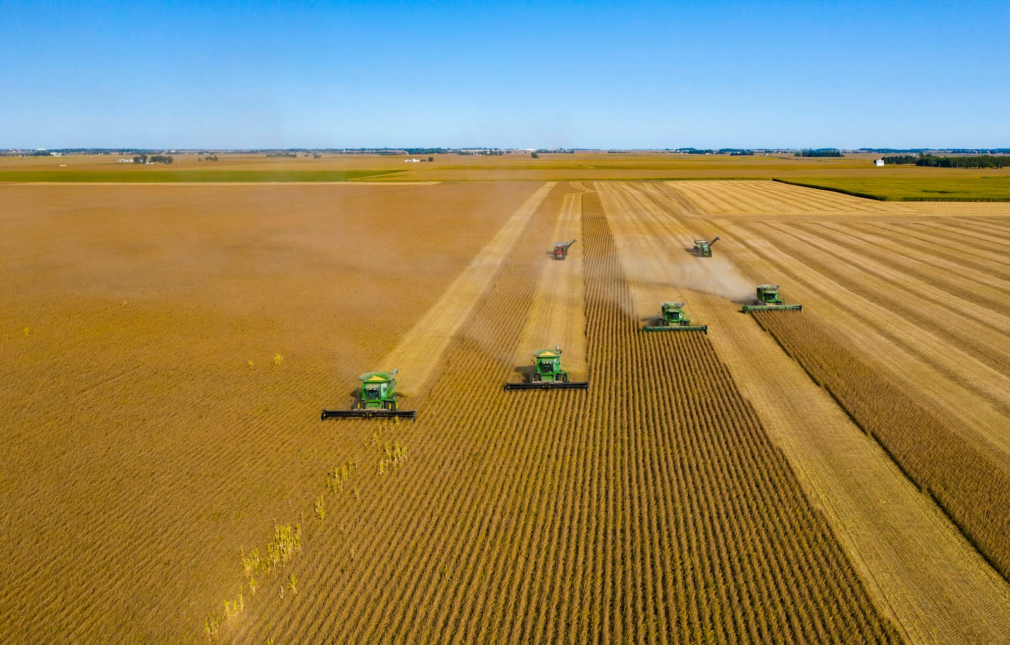 Cinco cosechadoras avanzando en línea sobre un lote, vistas desde el aire.